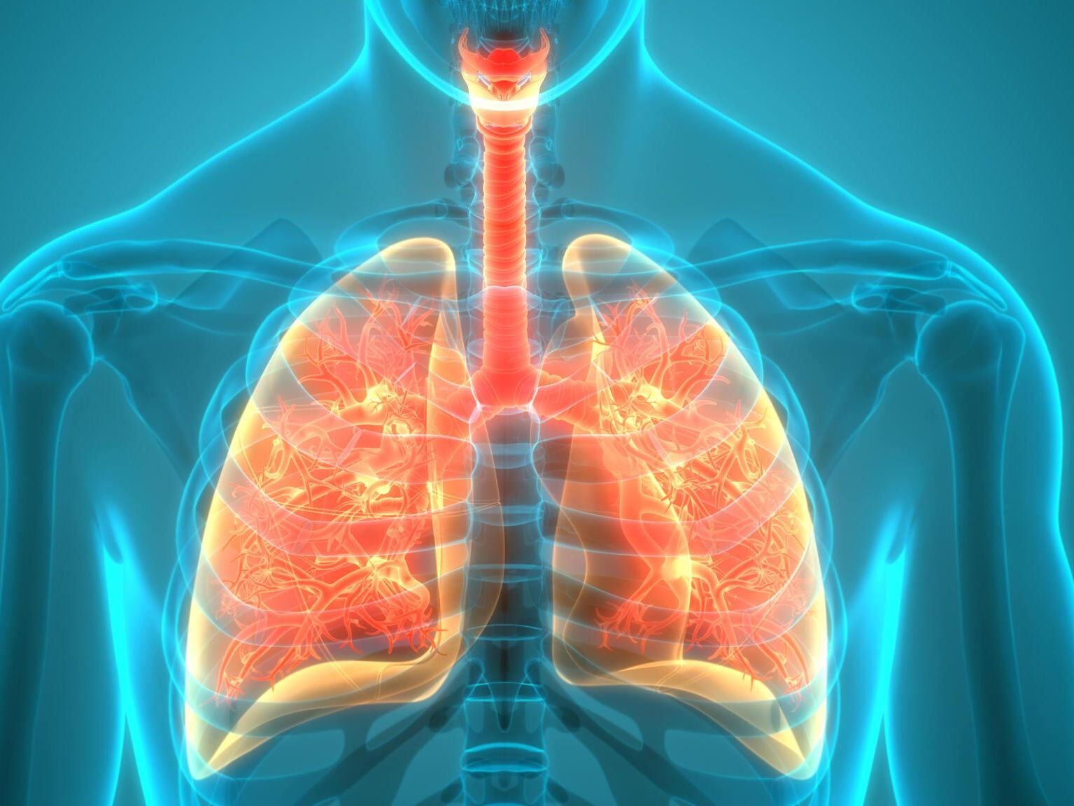 Respiratory conditions like asthma, COPD, pneumonia, and lung cancer, treatment at Rudraksha Multispeciality Hospitals